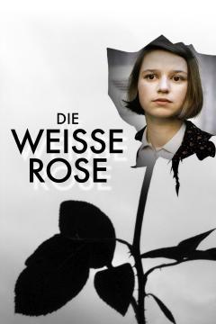 Die weiße Rose Poster