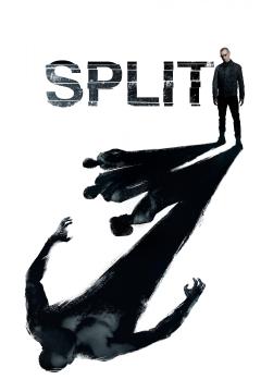 Split Poster
